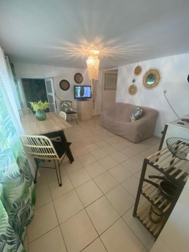 Studio Cleopatra, Kanali (photo 4)