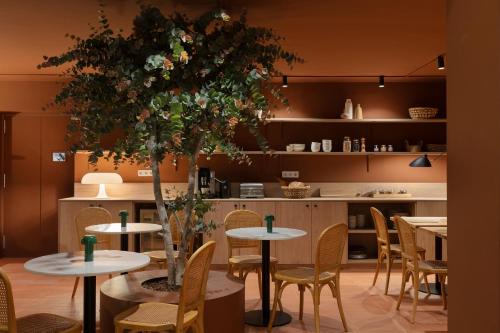 Hotel Curious - image 8