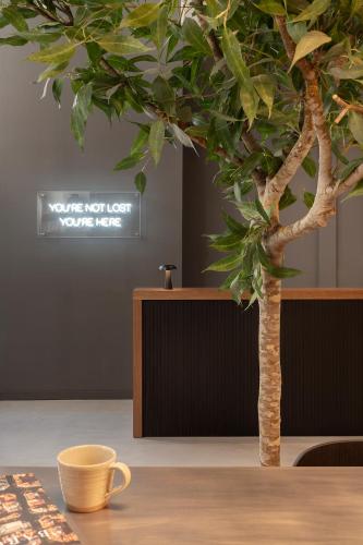 Hotel Curious - image 10