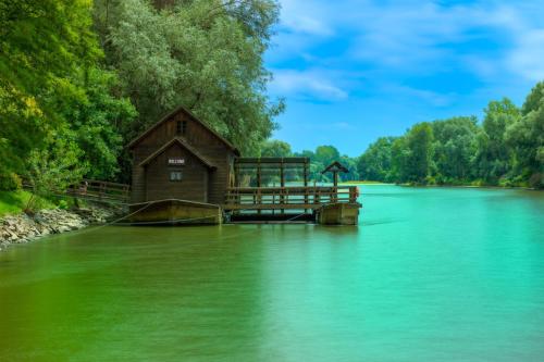 Ladybug House - image 2