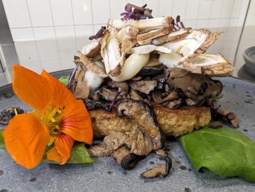 Hotel Am Fleesensee in Malchow, Deutschland