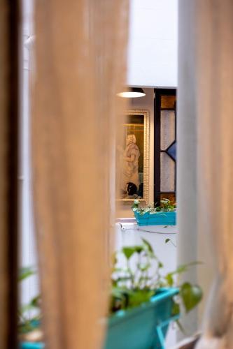 Primavera Hostel - image 4