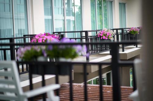 Triple room, pool view, 3 beds