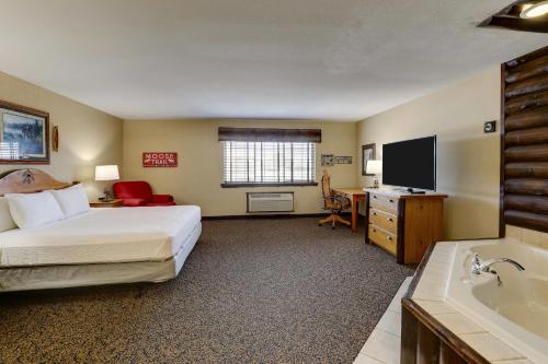 Stoney Creek Hotel Columbia - image 8