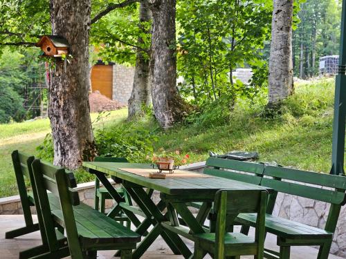 Green Forest - image 9