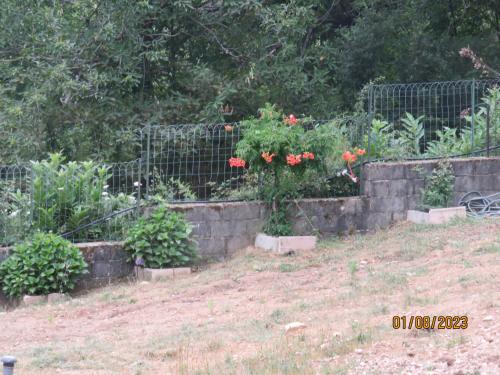 l'altore di savaghju in 維瓦里奧