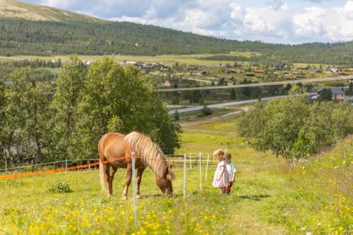 Venabu Fjellhotell, Ringebu