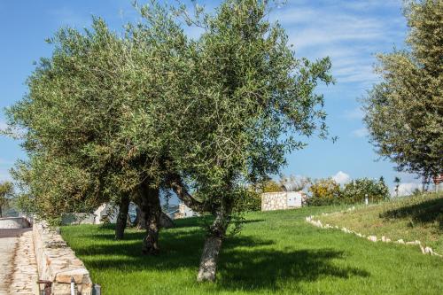 holiday lodge al porto