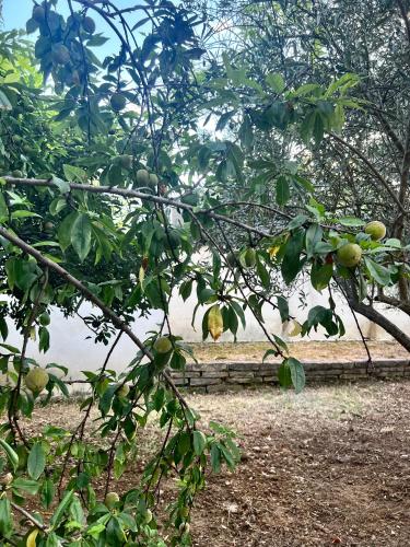 Villa au milieu des vignes avec piscine privée sans vis à vis