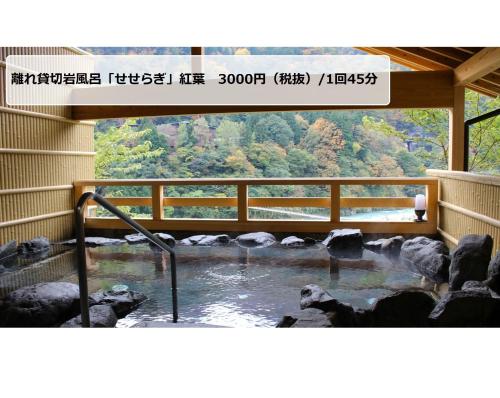 Unazuki Onsen Sanyanagitei - Vacation STAY 06553v