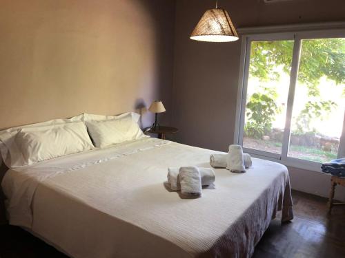 1 king bed