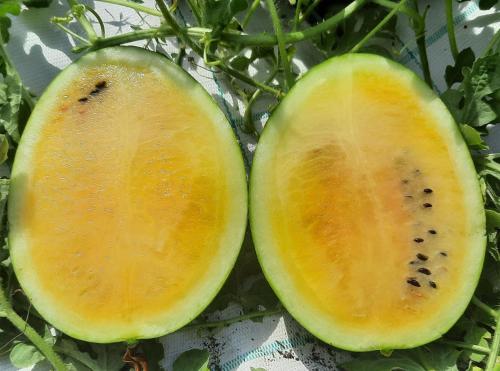 科利纳豪园农庄酒店