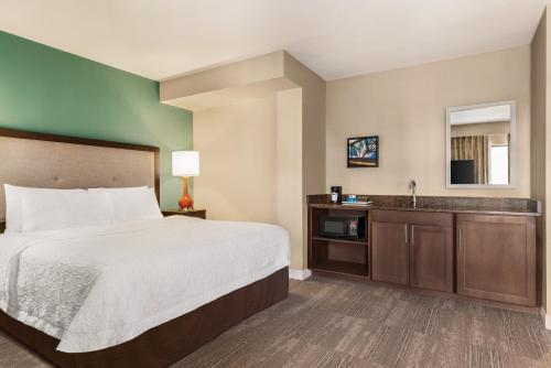 Hampton Inn By Hilton & Suites New Orleans-Convention Center