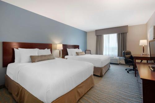 2 queen beds