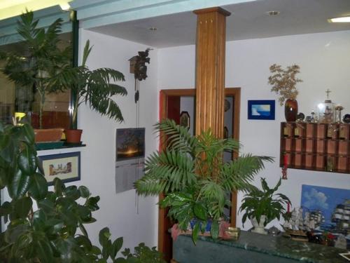 Hotel Bar Dany in Bastardo