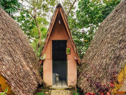 Sumatra Thomas Leaf Monkey Guesthouse & Jungle Trek