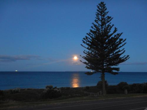 sun, sand & surf, its all across the road, Mount Maunganui (fotografie 8)