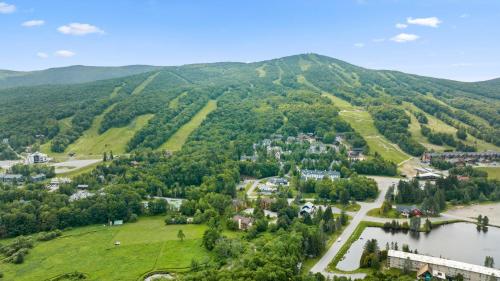 Mount Snow Mountaineer Inn - image 9