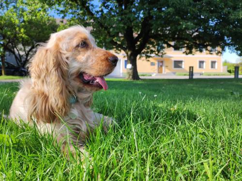 Peterseil's Radl Zimmer 5