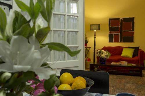  Family House Garden in Ponta Delgada