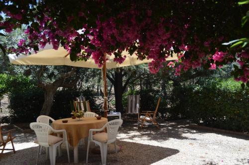 Guest House Bouganville chambre d'hôte Crocevie