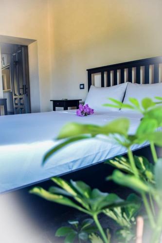 1 queen bed