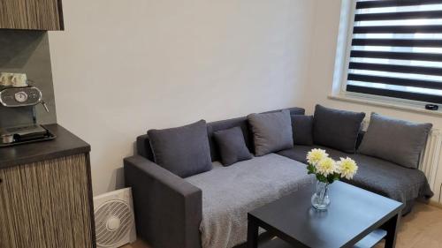 Apartament "Cztery Pory Roku"