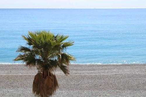 Cozy flat on the Cote d'Azur - Location saisonnière - Villeneuve-Loubet