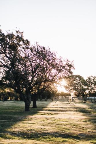 Chatsworth Tasmania