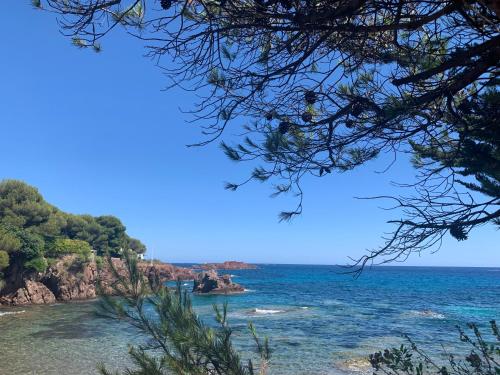 Studio climatise avec piscine near Les Pins Parasols