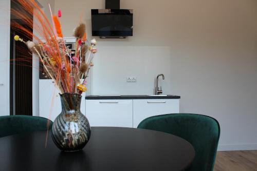 Modern Studio & Apartment Roermond in Roermondas