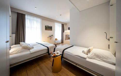 Ciarus in Strasbourg