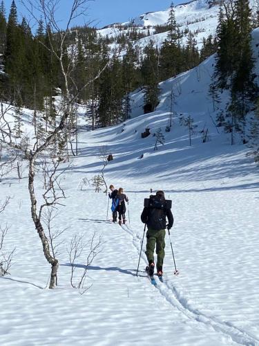 Arctic Dome Namdalen