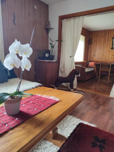 Čemerno Cottage (Cemerno Cottage) in Gacko