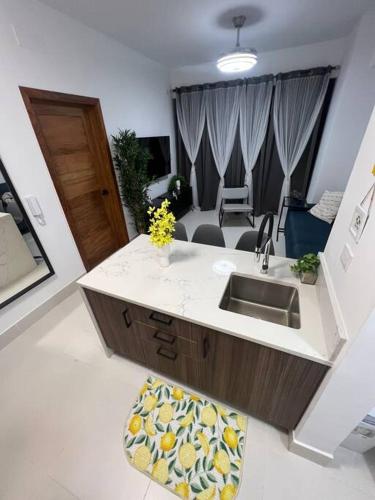 Apartment in Sto.Dgo, Piantini