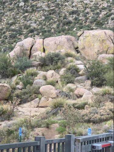 Quality Inn Rio Rancho - Albuquerque North Valley - 스포츠&체험활동