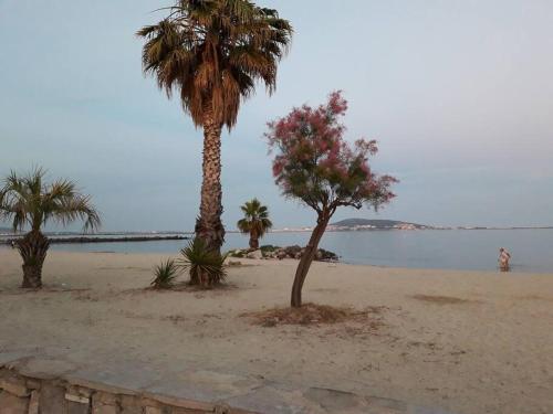 Loc vacances appart T2 meublée 1 er proche plage - Location saisonnière - Mèze