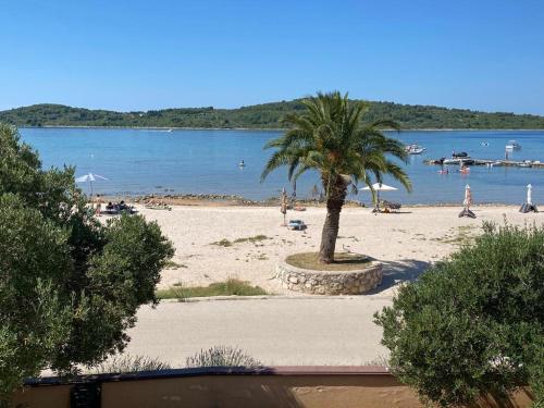 MP More in Водіце