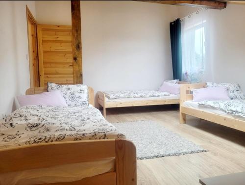 Apartamenty i pokoje gościnne pod lasem - Accommodation - Nadarzyn