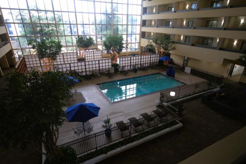 Atrium Hotel and Suites DFW Airport - image 12