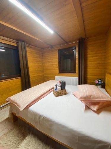 Cabana cu Mesteceni in Glod