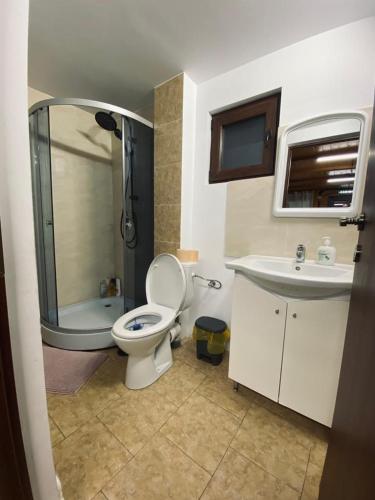 Cabana cu Mesteceni in Glod