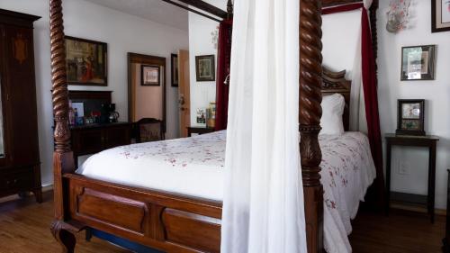 Red Horse Vineyard B&B - image 7
