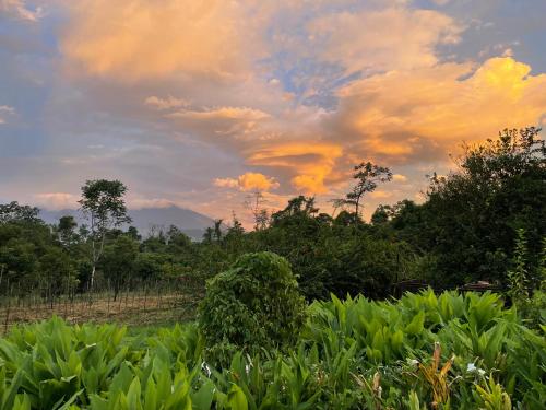 周邊環境, Granja Integral Luz Del Corazon in 林孔德拉別哈