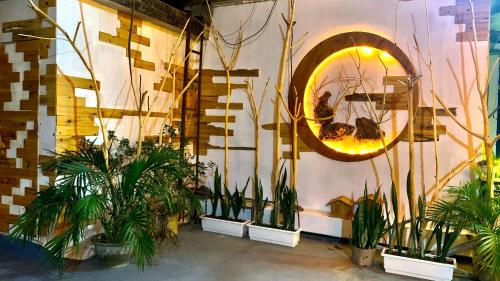 Nobita Homestay bac ha