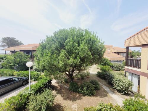 Le Clapotis Le Clapotis