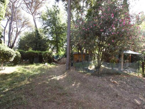 Appia Antica 2BR with swimming pool Room Type - Appartamento