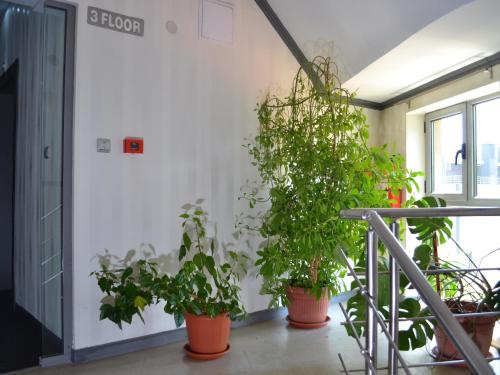 Elate Plaza Hotel, Sofia (Foto 5)