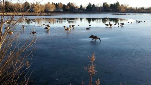 6224 S Datura St 6224 S Datura St