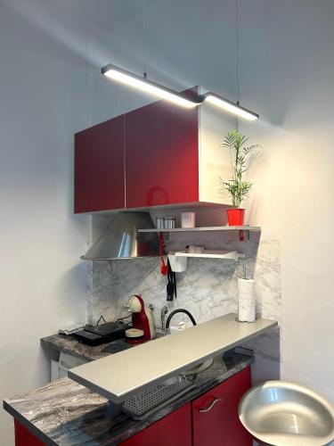 One-Bedroom Apartment image 7